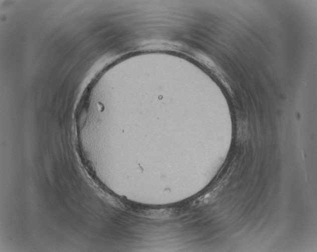 X0000067471376200605051636