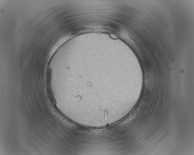 X0000067471378200605051636