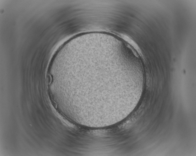 X0000067471380200605051636