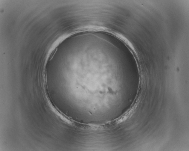 X0000067471381200605051636