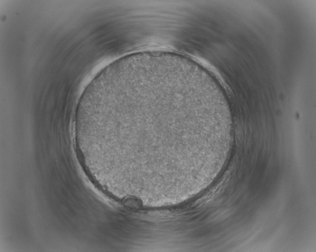 X0000067471383200605051636