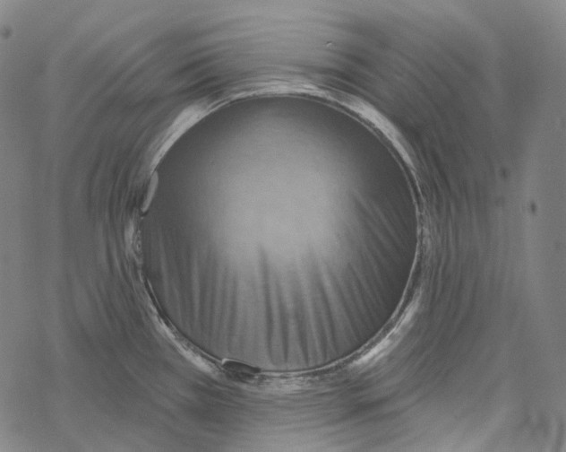 X0000067471385200605051636