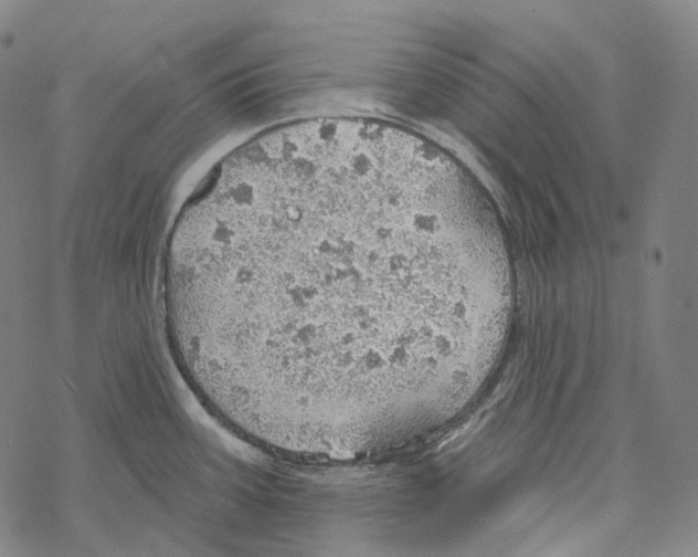 X0000067471387200605051636