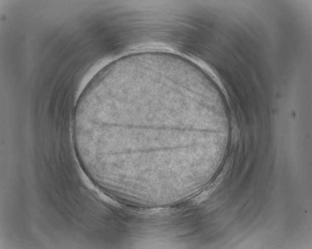 X0000067471390200605051636