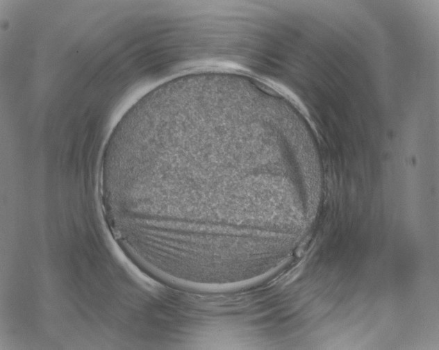 X0000067471391200605051636