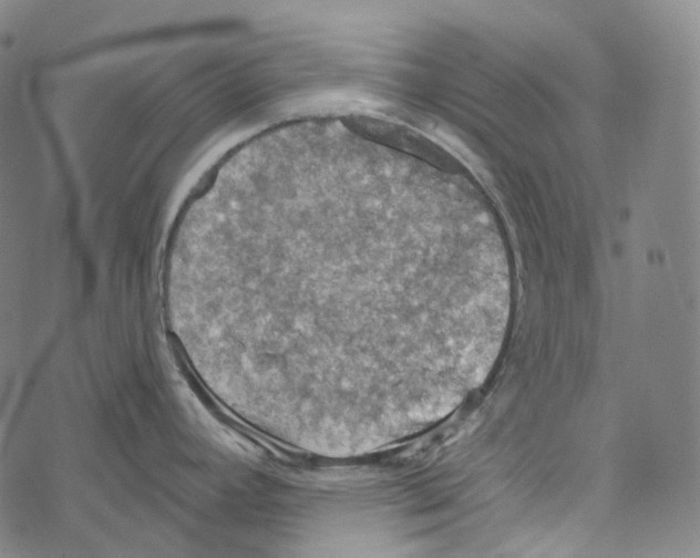 X0000067471392200605051636