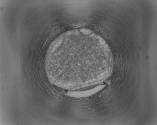 X0000067471393200605051635