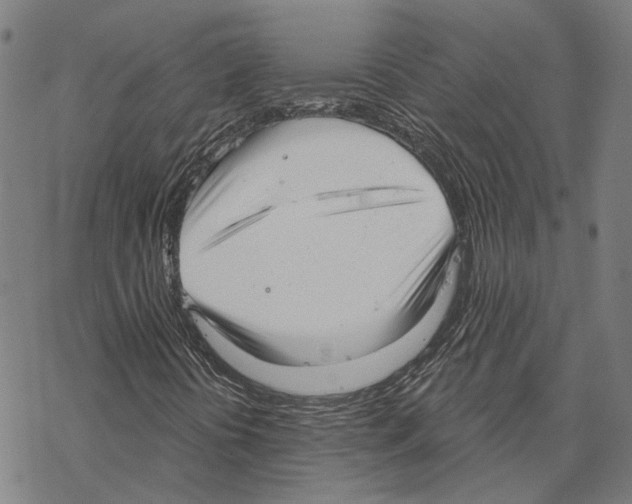 X0000067471394200605051635