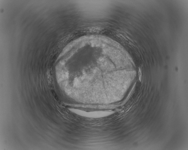 X0000067471395200605051635