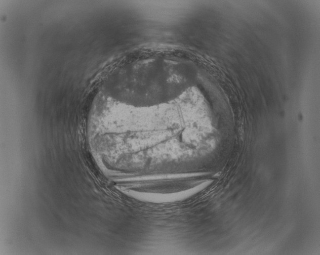 X0000067471397200605051635