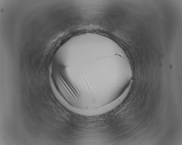 X0000067471398200605051635