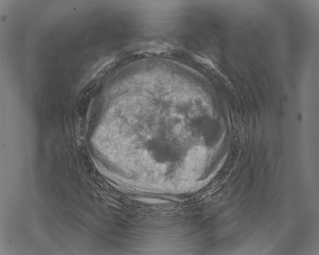 X0000067471399200605051635