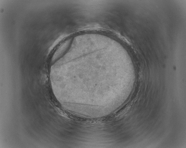 X0000067471400200605051635