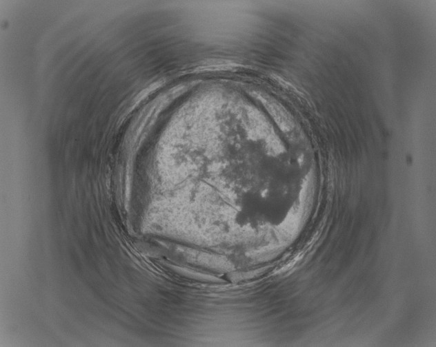 X0000067471401200605051635