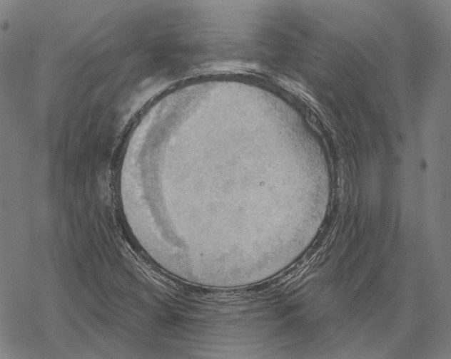 X0000067471404200605051635