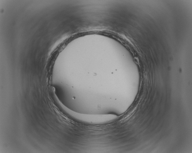 X0000067471406200605051635