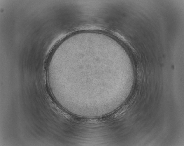 X0000067471408200605051635