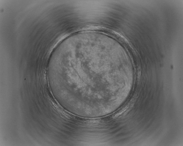 X0000067471409200605051635