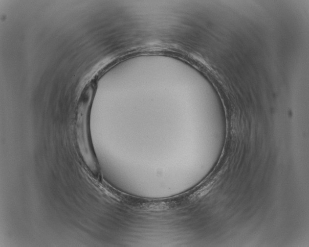 X0000067471410200605051635