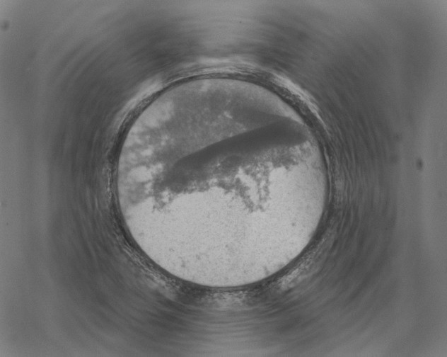 X0000067471411200605051635