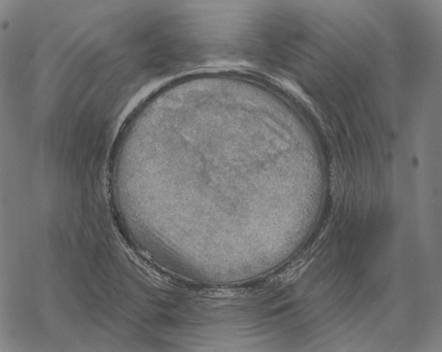 X0000067471412200605051635