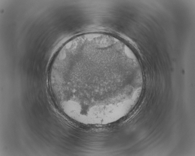 X0000067471415200605051635