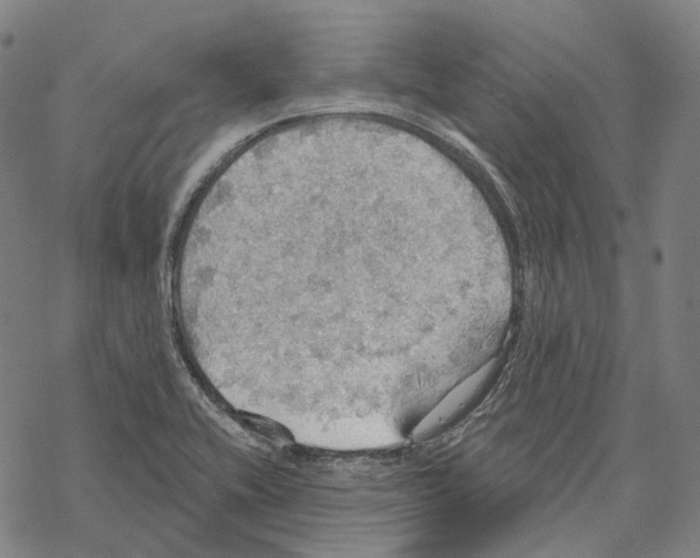 X0000067471416200605051635