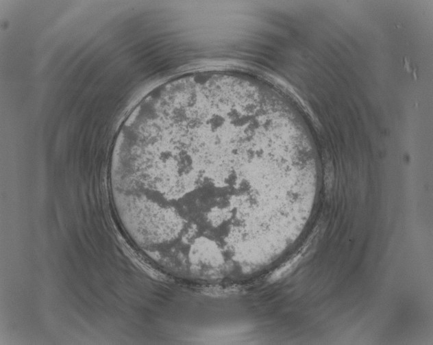 X0000067471417200605051635