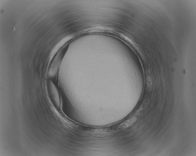 X0000067471418200605051635