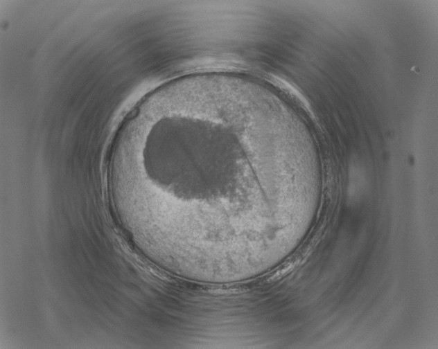 X0000067471419200605051635