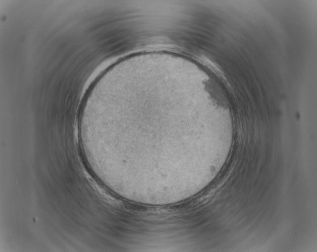 X0000067471420200605051635