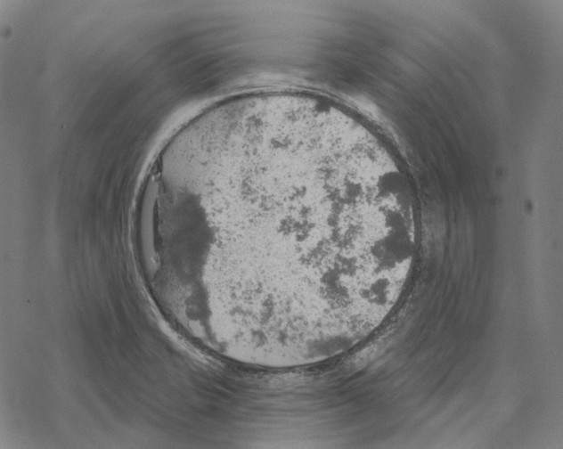 X0000067471421200605051635