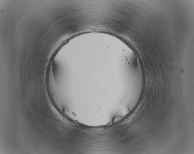 X0000067471422200605051635