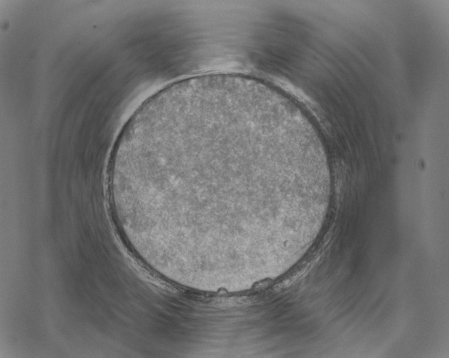 X0000067471423200605051635