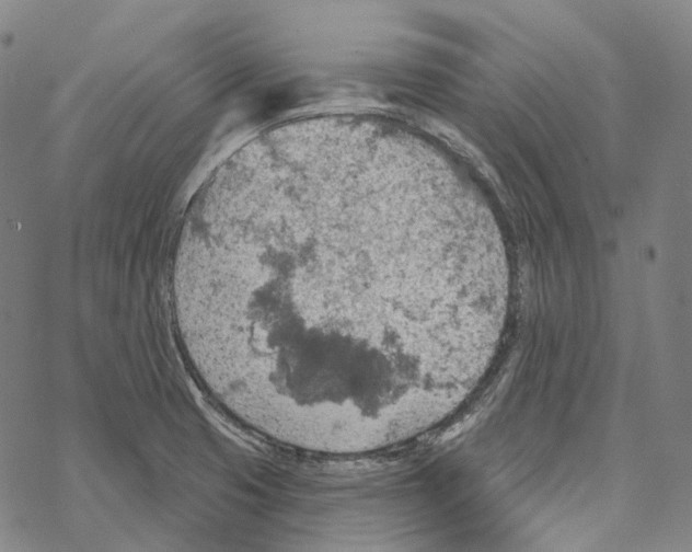 X0000067471425200605051636