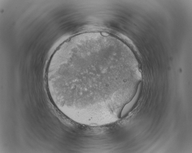 X0000067471427200605051636