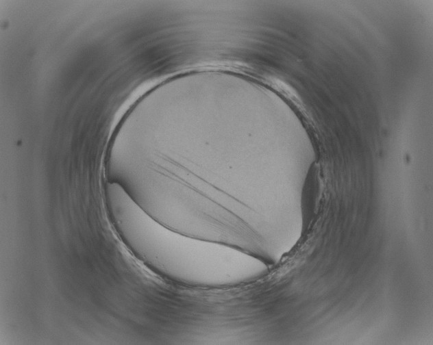 X0000067471428200605051636