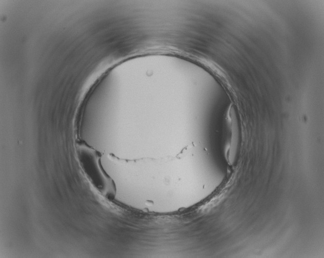 X0000067471430200605051636