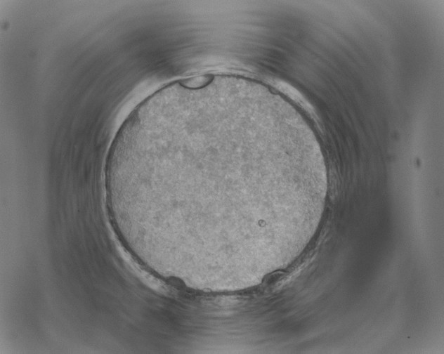 X0000067471431200605051636