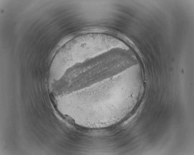 X0000067471433200605051636