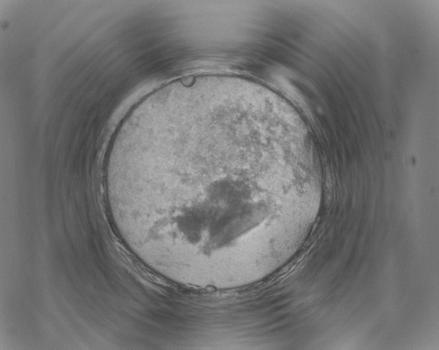 X0000067471435200605051636