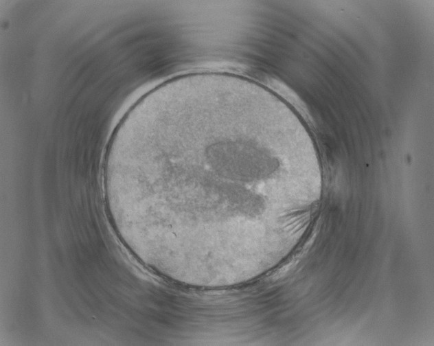 X0000067471436200605051636