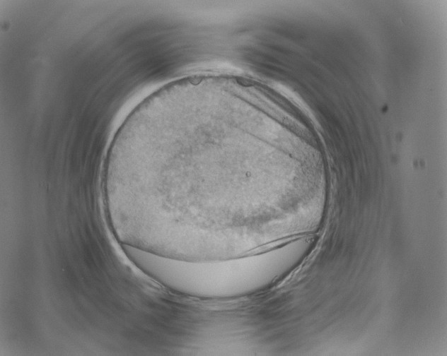 X0000067471440200605051636