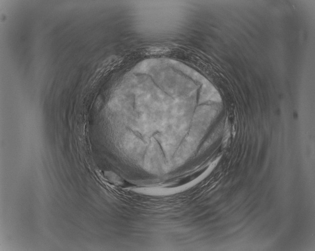 X0000067471441200605051635