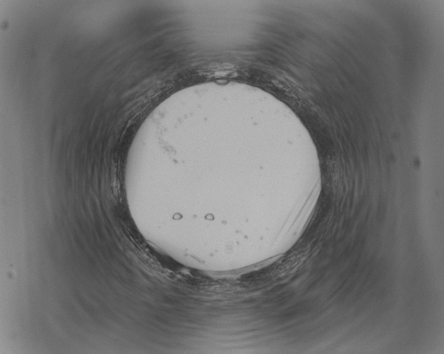 X0000067471442200605051635