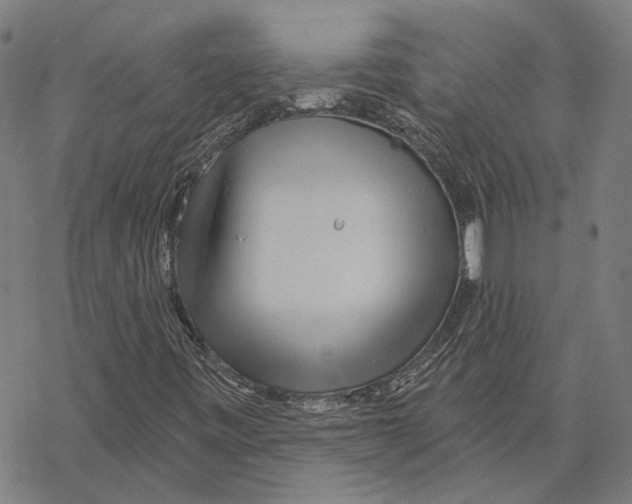 X0000067471443200605051635