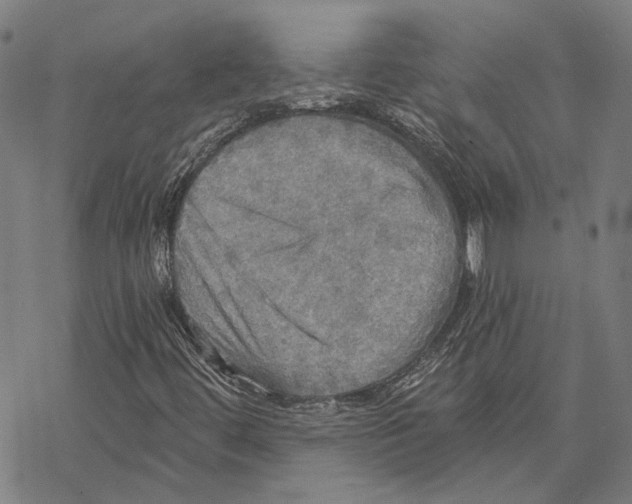 X0000067471444200605051635