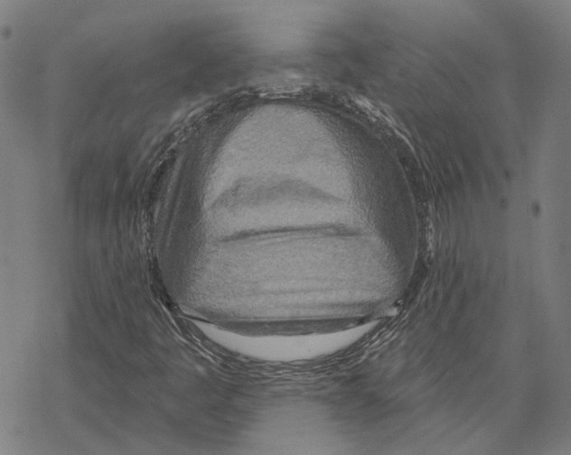 X0000067471445200605051635