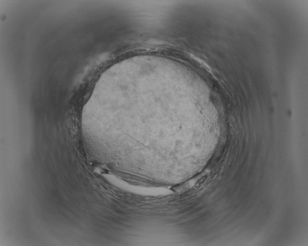 X0000067471447200605051635