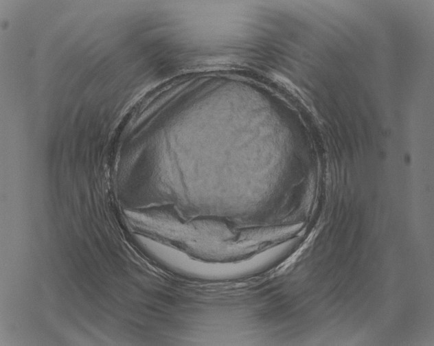 X0000067471449200605051635